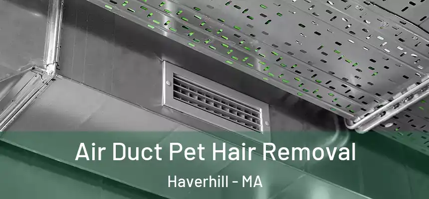  Air Duct Pet Hair Removal Haverhill - MA