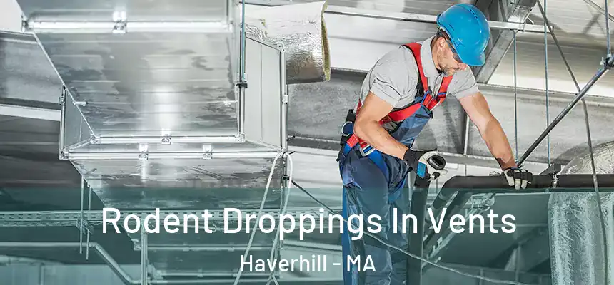 Rodent Droppings In Vents Haverhill - MA
