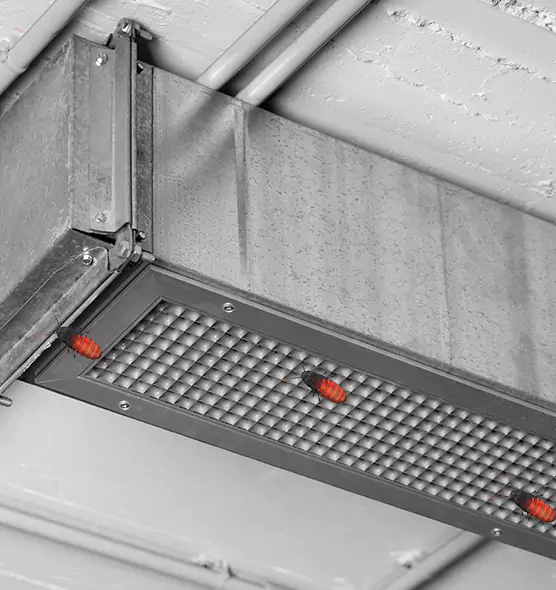 About Air Duct Cockroach Removal in Haverhill, MA