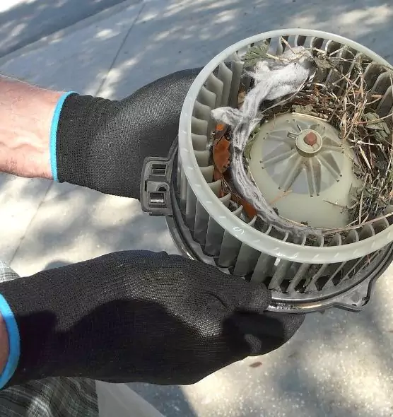 About Air Duct Mice Removal in Haverhill, MA