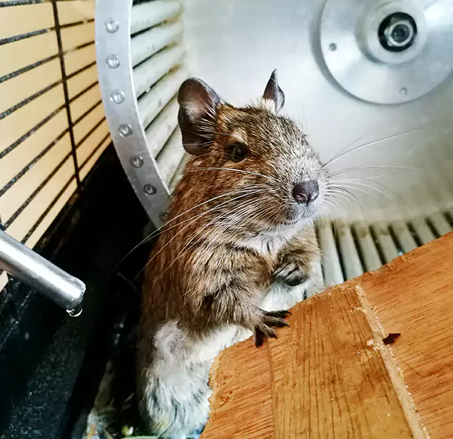 Why Homeowners & Businesses Trust Us Haverhill, MA?