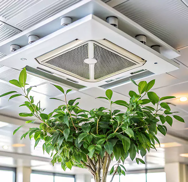 Why Homeowners & Businesses Trust Us in Haverhill, MA?